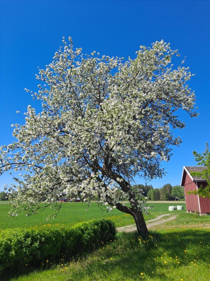 Levomaeki Farm Cottages Ypaja Esterno foto